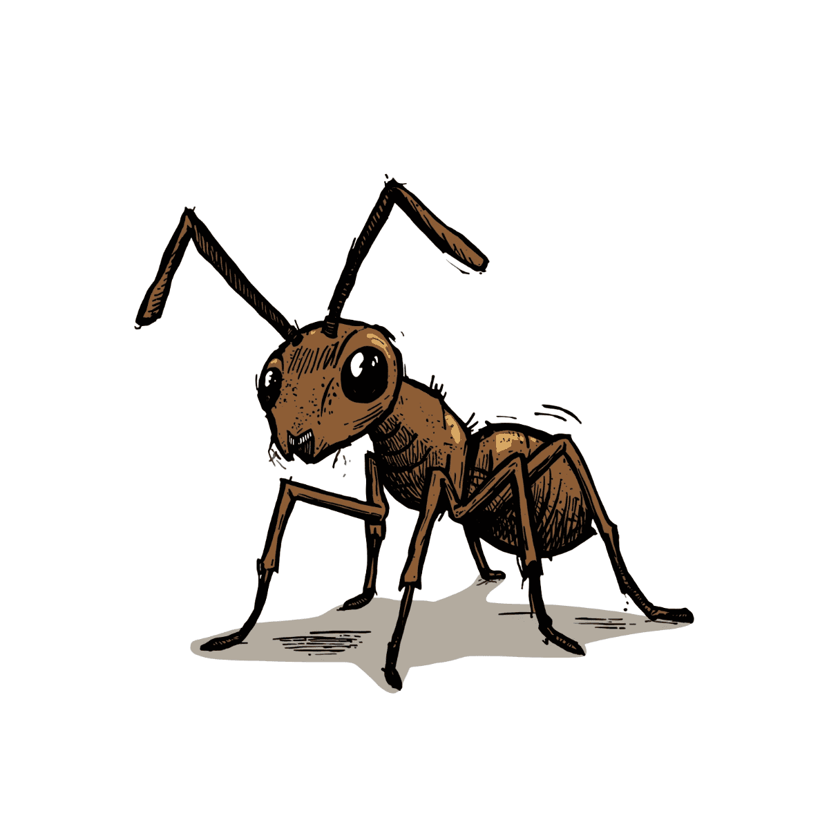 Ants