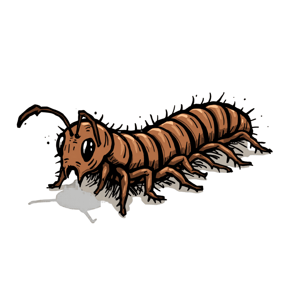 Centipedes