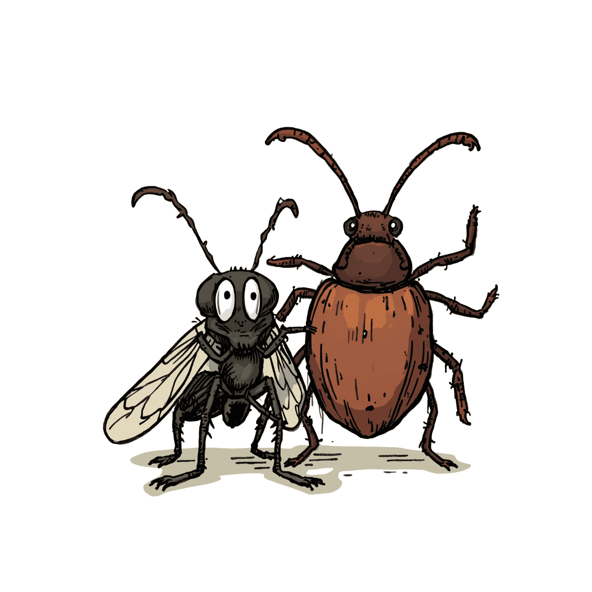 Fleas & Ticks