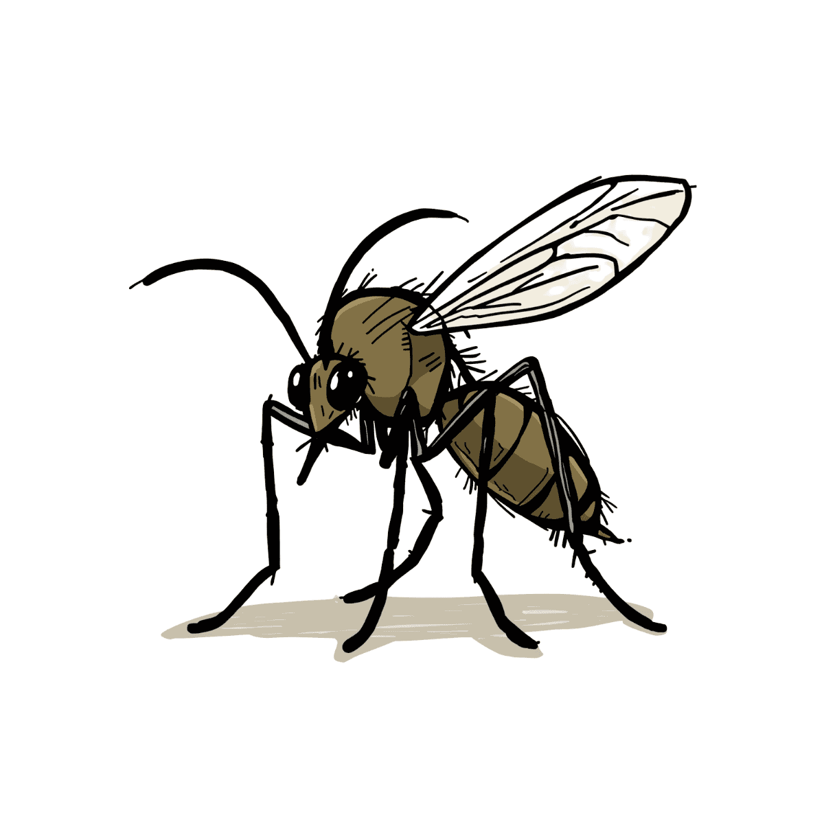 Mosquitos