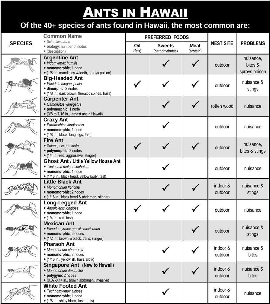 General pest control treatment products